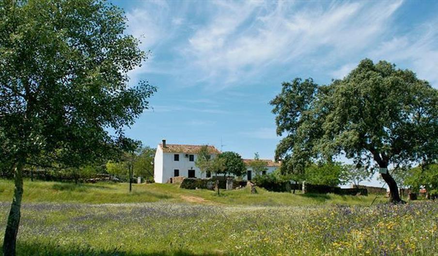 El Punto - El Romero - Finca La Vicaría