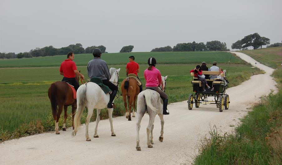 Entre Toros y Caballos