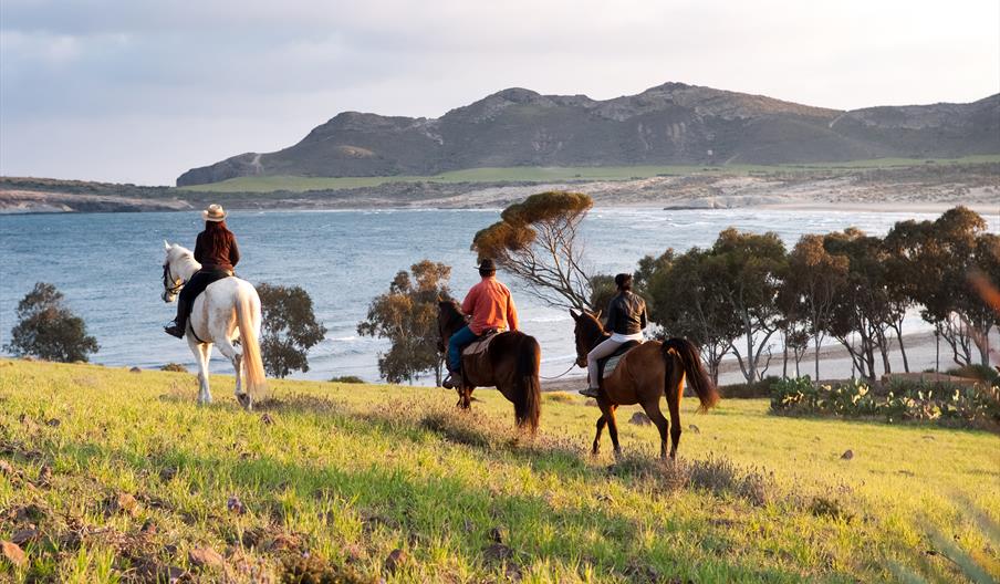 Vacaciones a Caballo en Andalucía - Cabacci