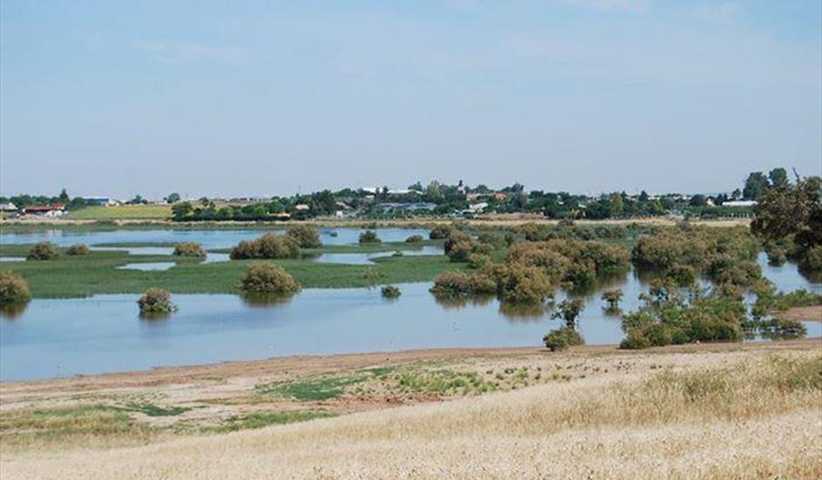 Cuervo de Sevilla, El