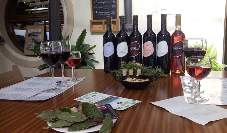 Bodega Los Frutales - Joaquín Fernández