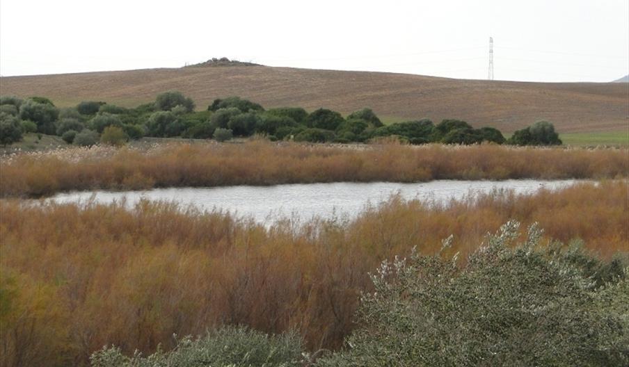 Complejo Endorreico de Espera