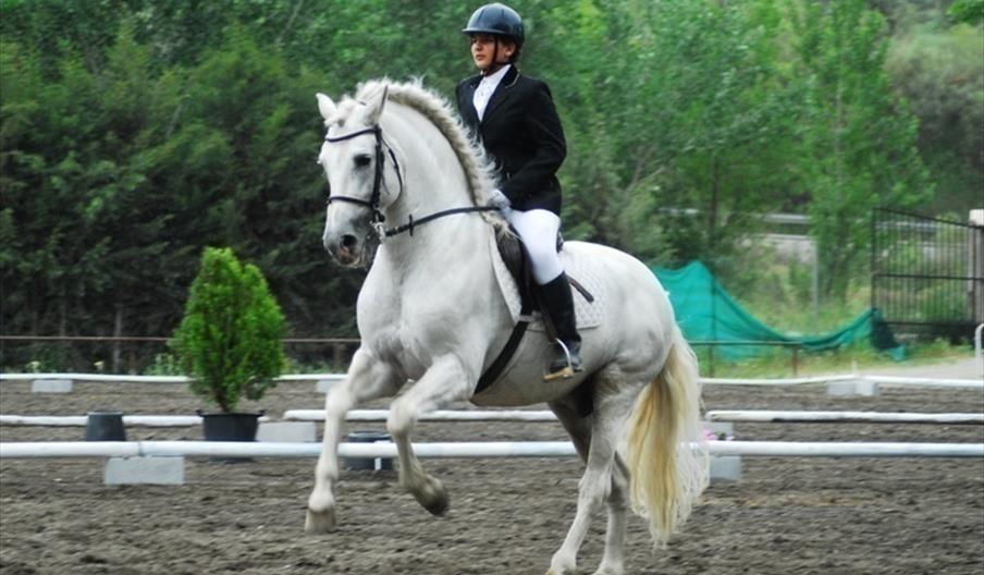 Club Hípico de Cenes