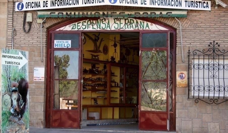 Apus Internacional Cazorla