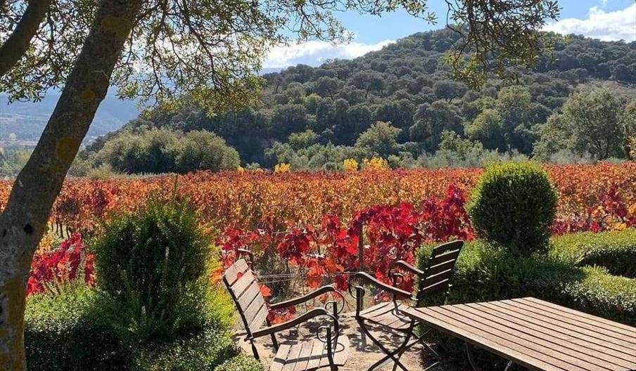 Bodega Federico Schatz