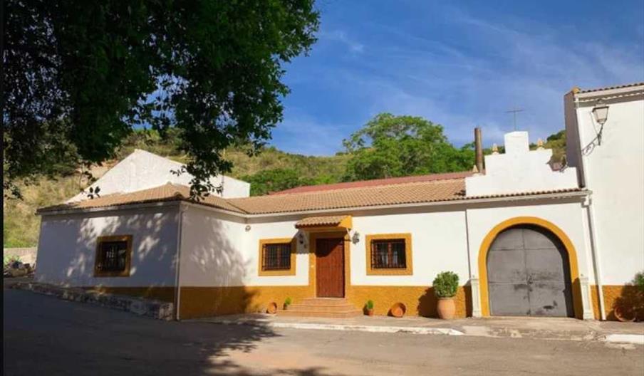 Oleoturismo aceites Thuelma