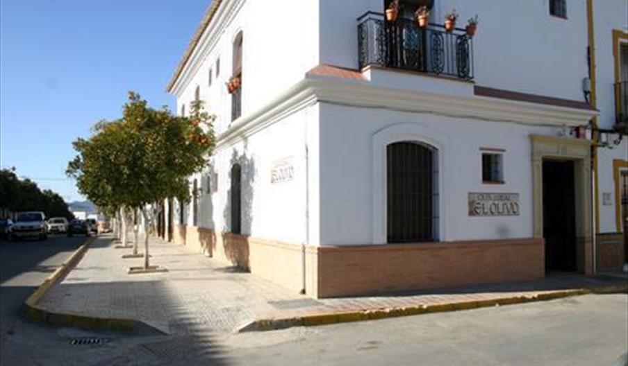 El Olivo