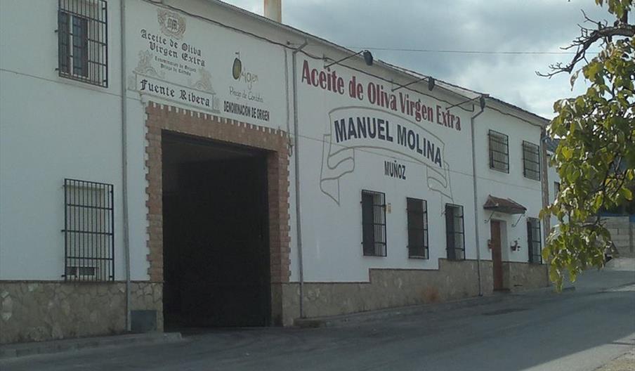 Aceites Manuel Molina e Hijos
