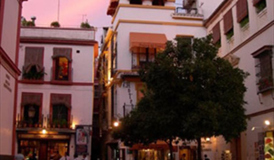 Hotel Hostería del Laurel