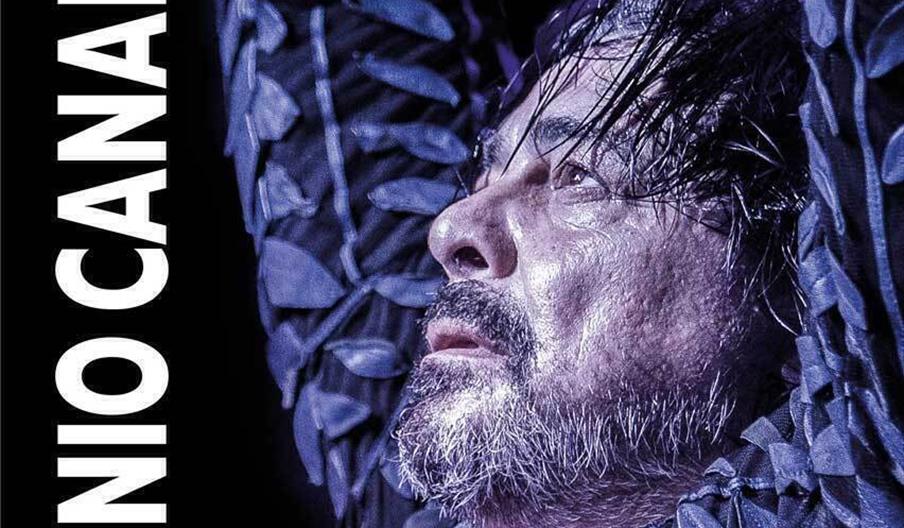 Festival Tacón Flamenco de Utrera