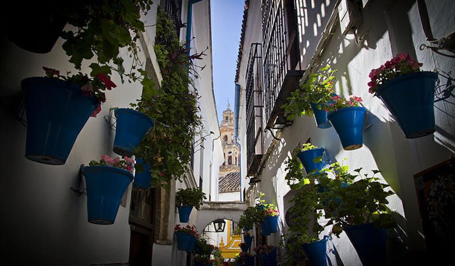 Calleja de las Flores