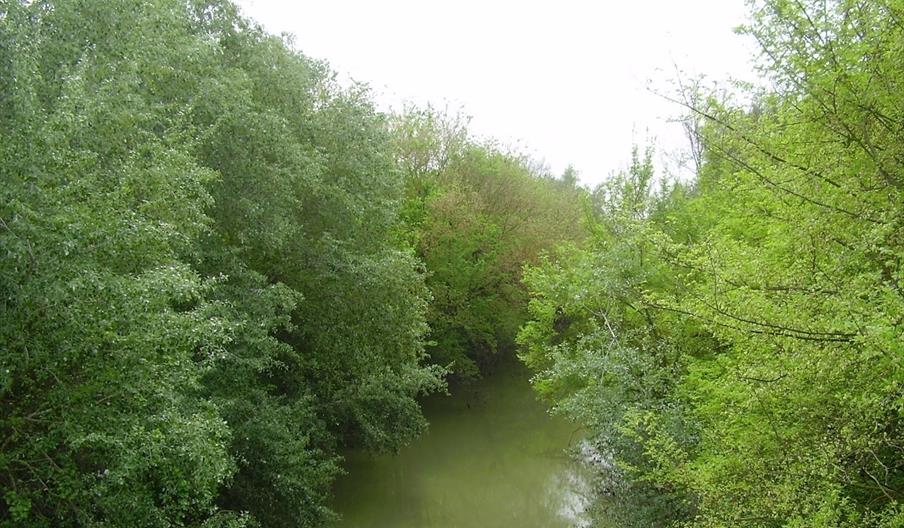 Corredor Verde del Guadiamar