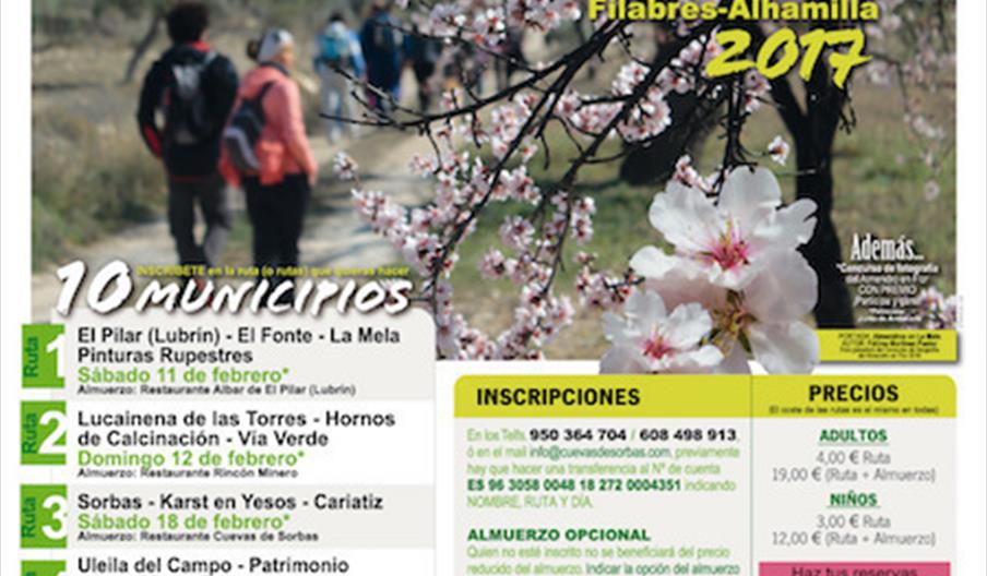 Rutas Almendro en Flor y Jornadas Gastrónomicas de la Almendra
