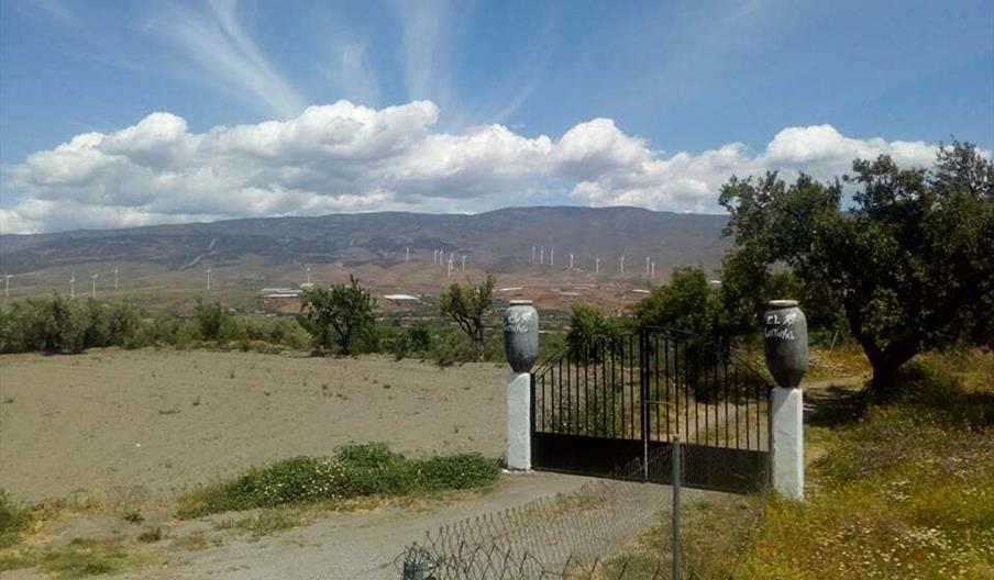 Vivienda Rural Cortijo El Gatunal