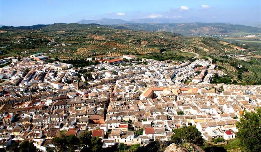 Cervera
