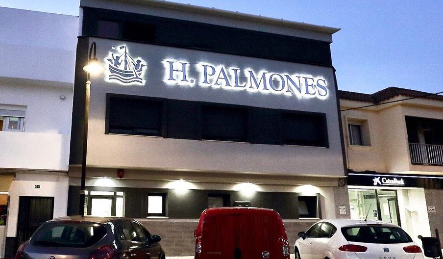 PALMONES