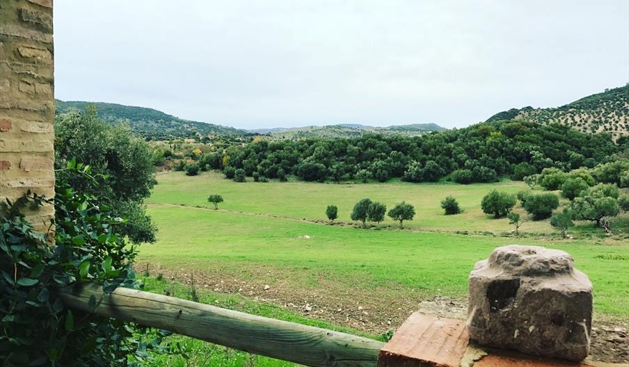 Casa Rural El Vihuelo