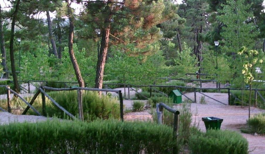 Camping Cañada Catena