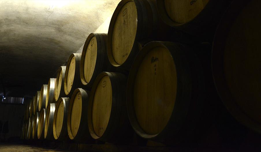 Bodegas Nuestra Señora del Socorro