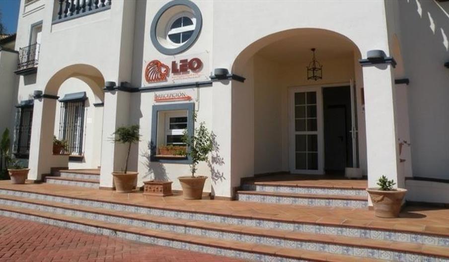 Apartamentos Leo San Bruno