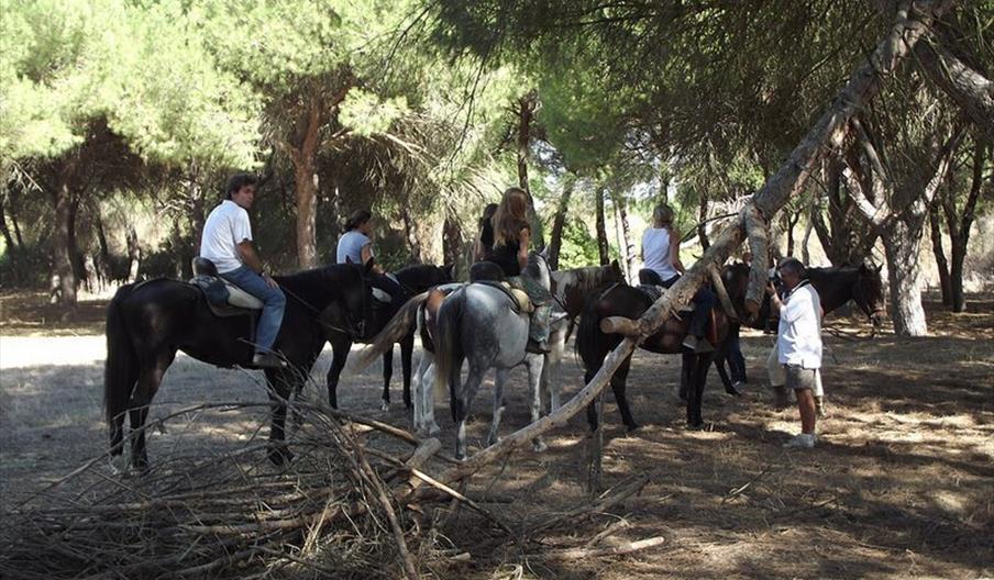 Turismo Ecuestre Doñana
