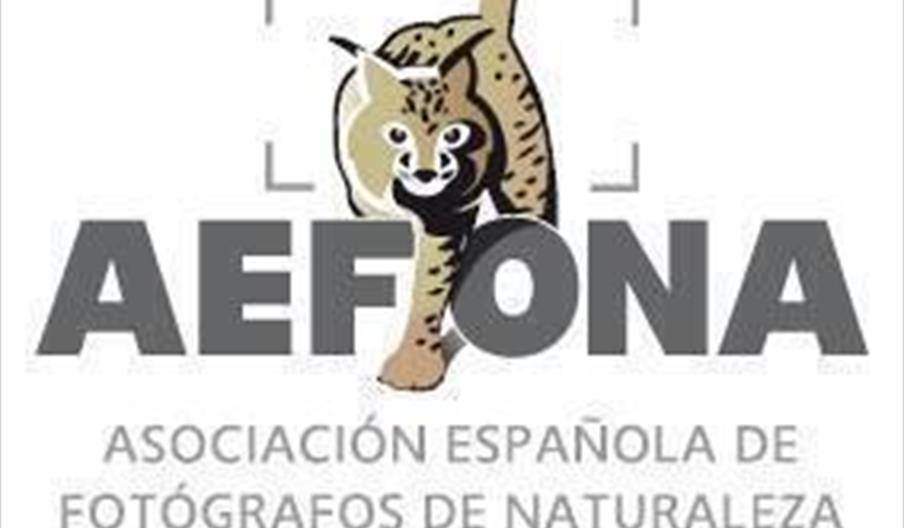 Congreso de AEFONA