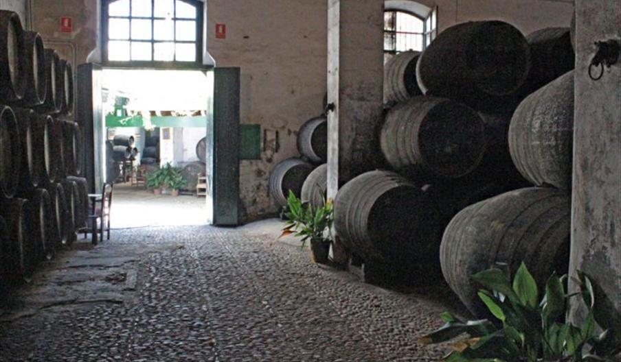 Bodegas Faustino González
