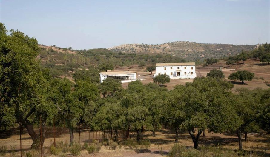 Cortijo El Berrocal
