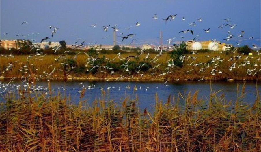 Sun Aventure Turismo Activo