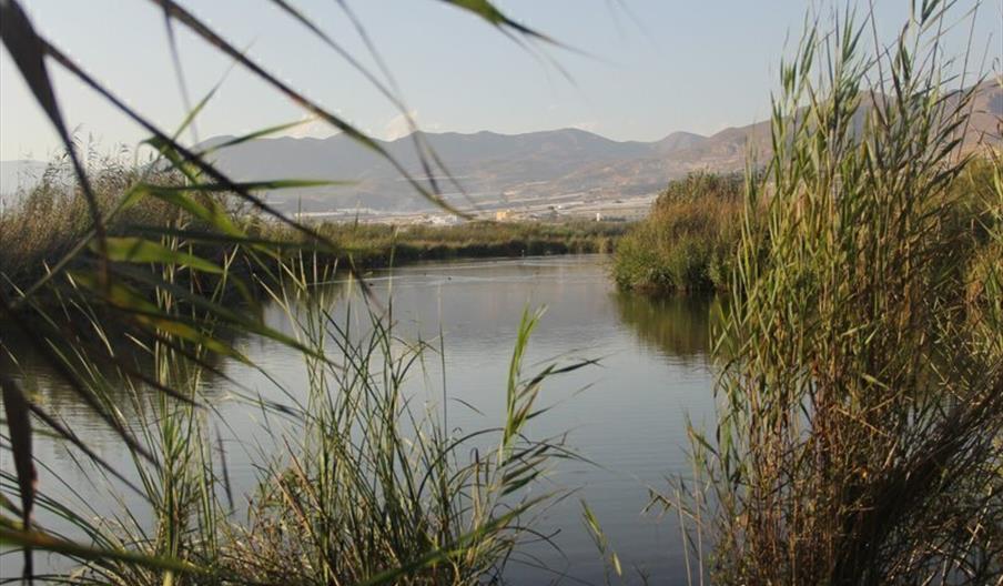 Albufera de Adra