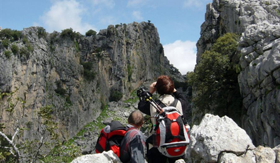 Al Qutun Agroturismo