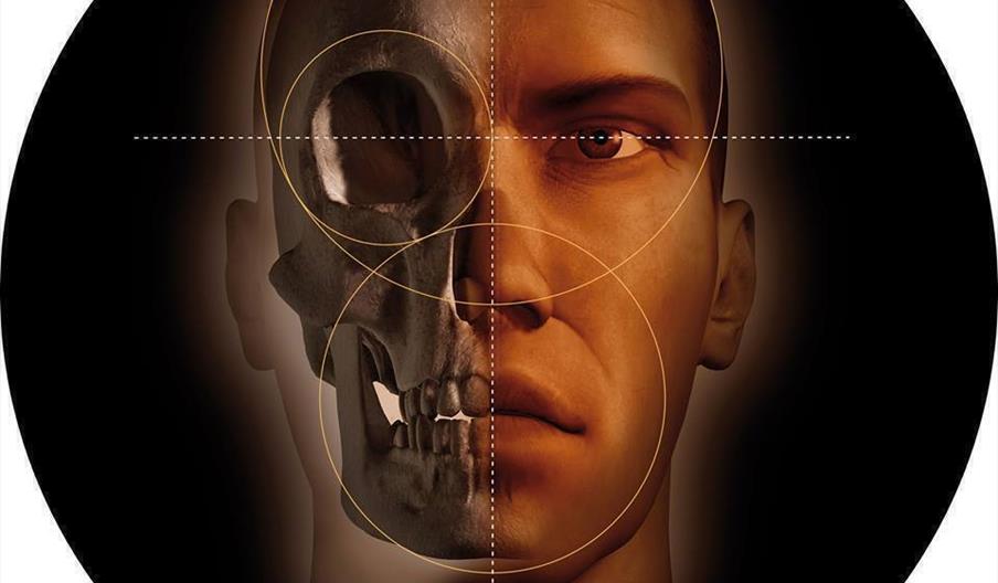 Yacimiento Arqueológico "Gadir"