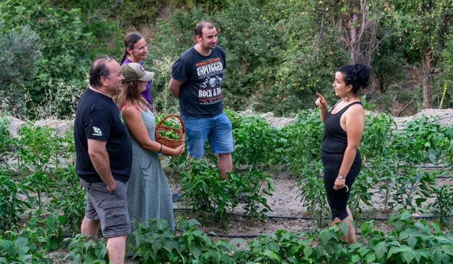 Huerta El Reventón Cazorla