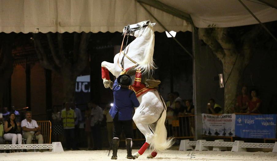 Concurso Morfológico y Funcional de la Ciudad de Andújar, Anducab