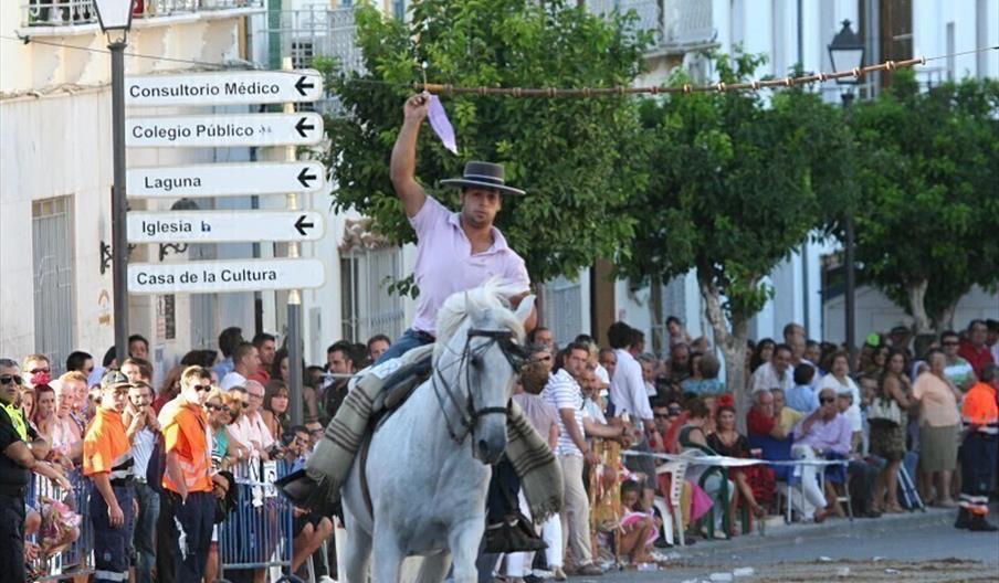 Carrera de Cintas a Caballo en Fuente de Piedra
