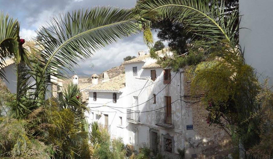 Vivienda Rural Casa en la Plaza