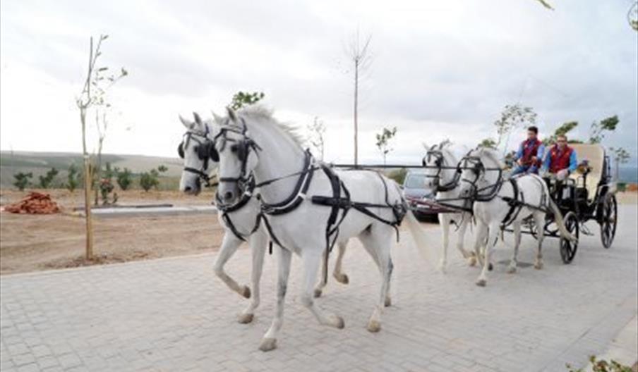 Centro Hípico La Herradura