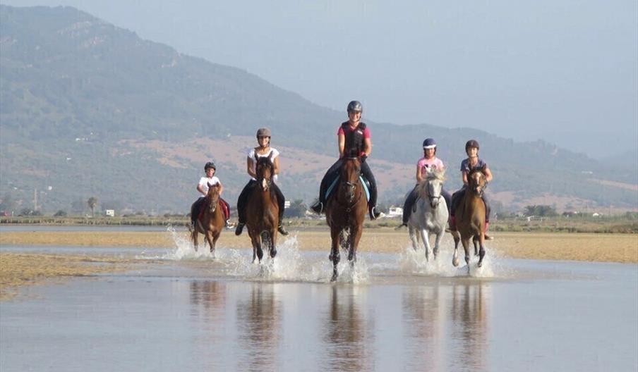 Club de Equitación Natural Guadacorte