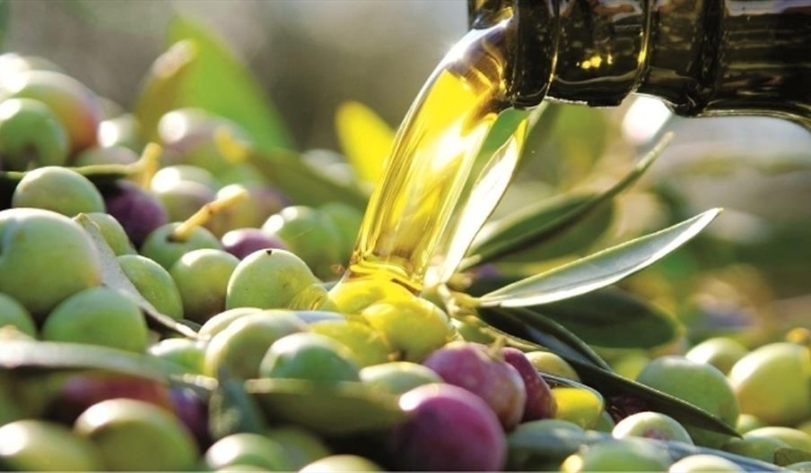 Molino Aceitero La Molina