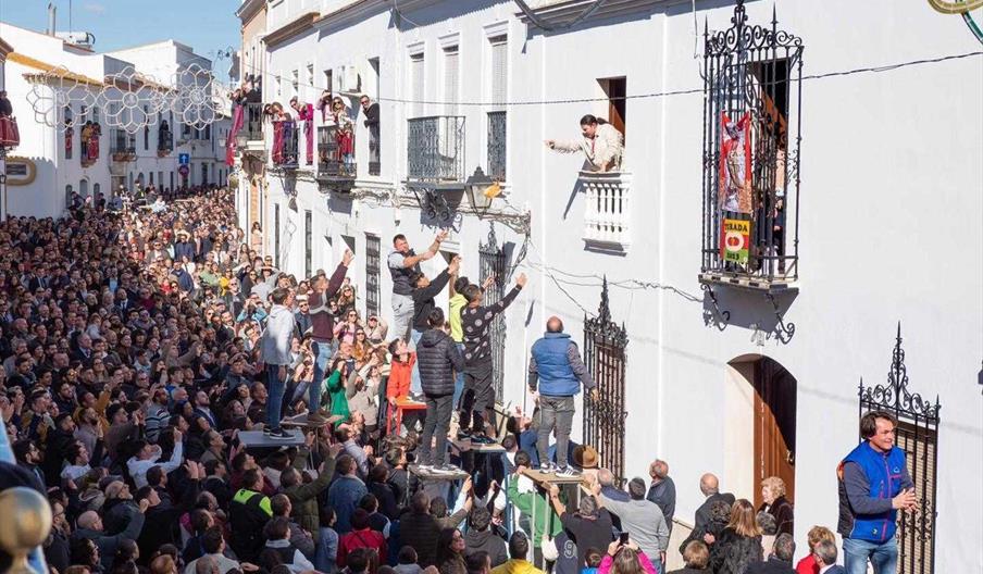Fiestas de San Antonio Abad