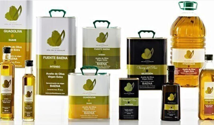 Olivarera Nuestra Señora de Guadalupe