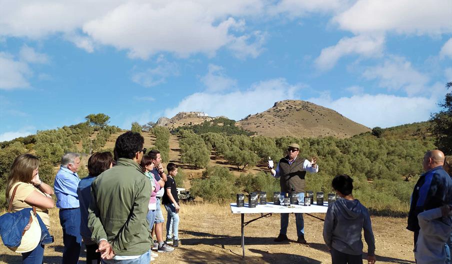 Oleoturismo Finca La Tortaita