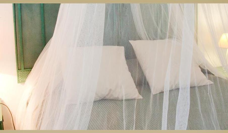 El Encinar - Finca La Vicaría