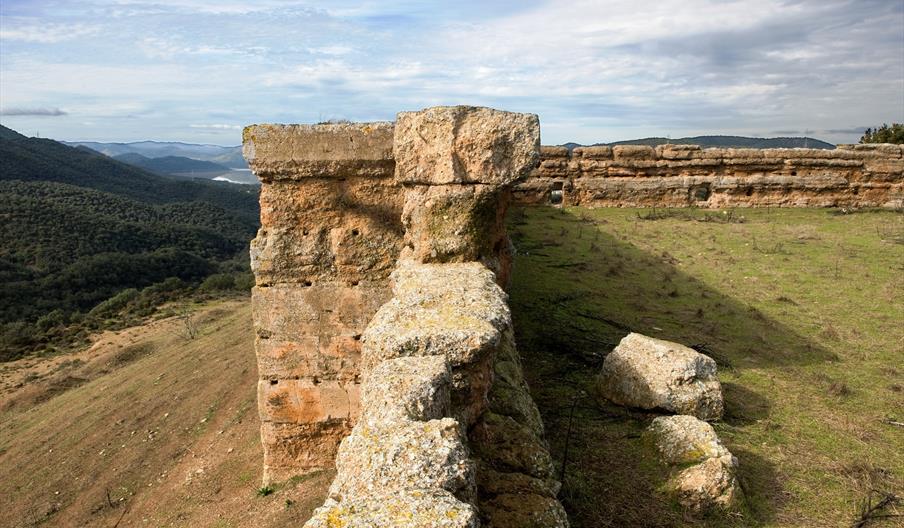 Castillo de El Vacar