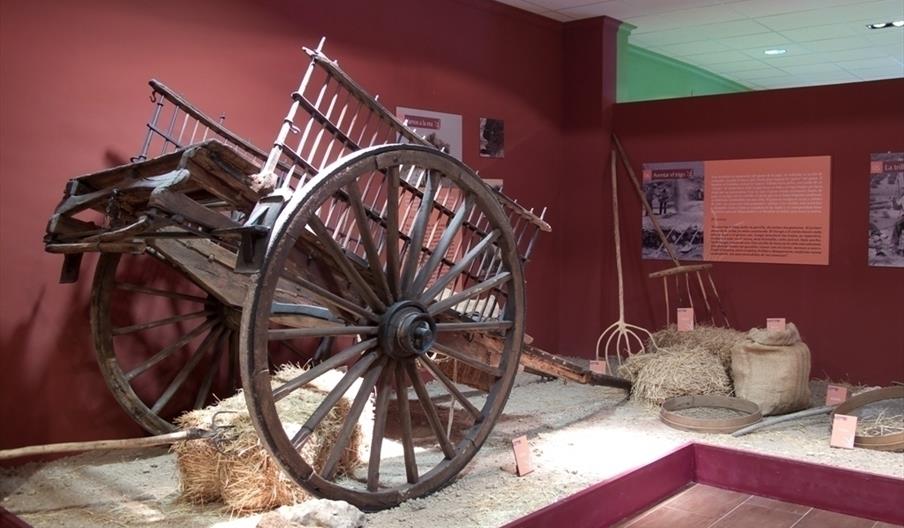 Centro Temático Campo Andaluz