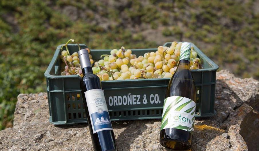 Bodegas Jorge Ordóñez & Co