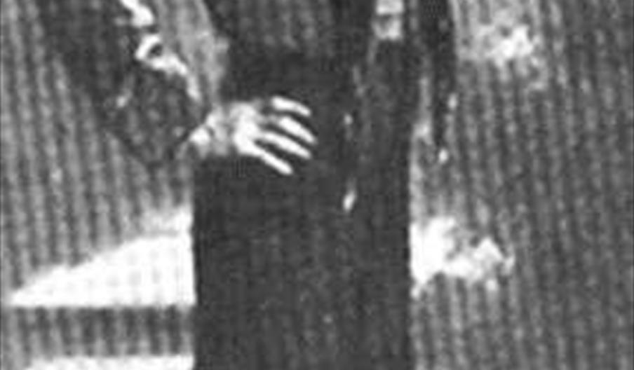 image_265350_jpeg_800x600_q85.jpg El Estampío