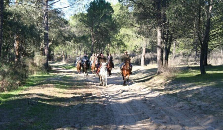 Doñana a Caballo