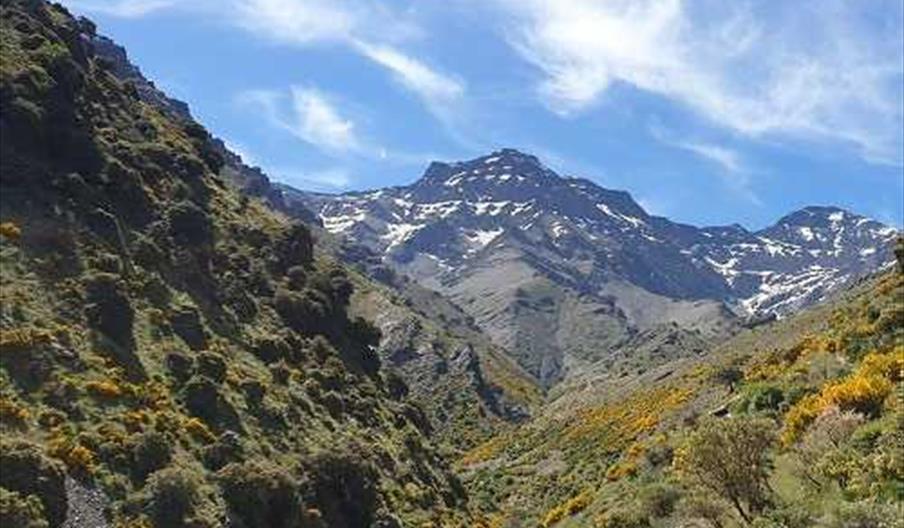 Vereda de la Estrella