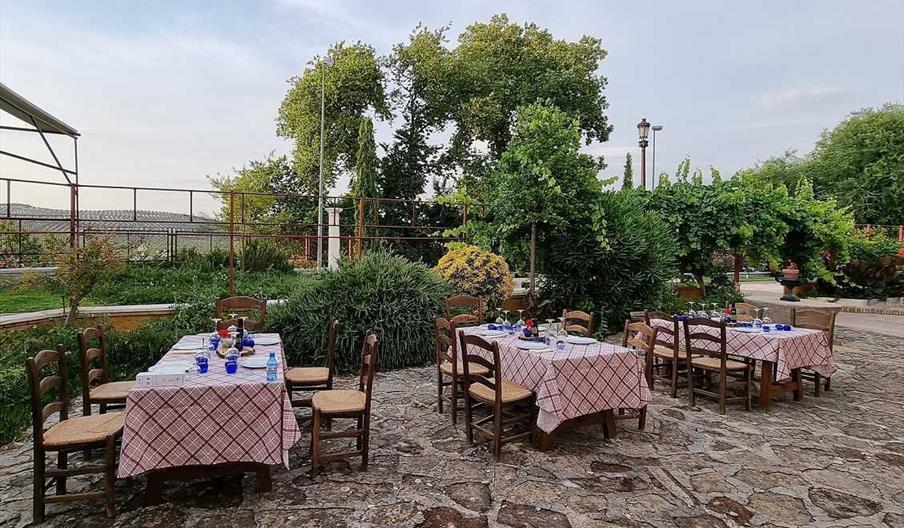 Catas de AOVE en Arjona